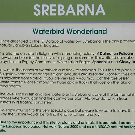 Srebarna Lakeview