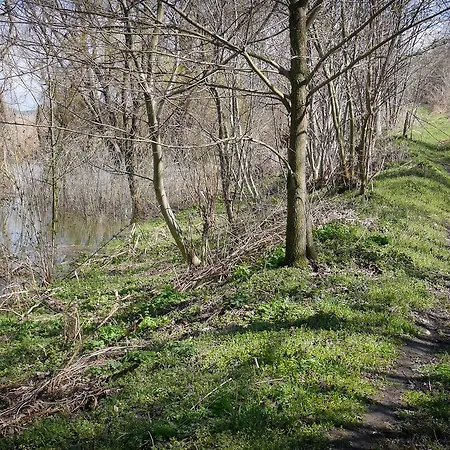 Appartement Srebarna Lakeview *